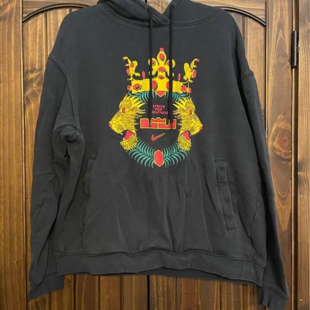 Large Nike LeBron James Crowned Lion Pullover Hoodie black